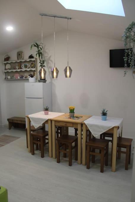 파티마 Casa Manuel E Maria 빌라 외부 사진